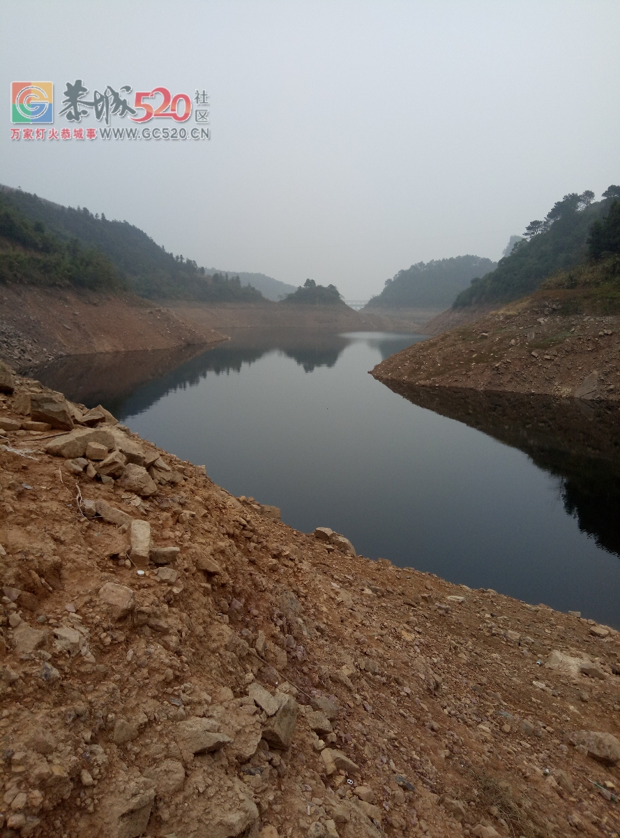 你绝对被见过那大条的嘛勾鱼mdg473 / 作者:MDG / 帖子ID:258595