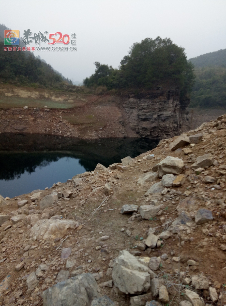 你绝对被见过那大条的嘛勾鱼mdg694 / 作者:MDG / 帖子ID:258595