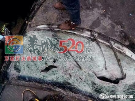 三江抓到偷狗偷猫的，被打得亲妈都认不到了，还要5万才放人！979 / 作者:九命猫 / 帖子ID:258760