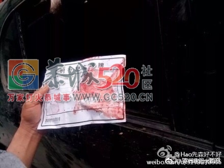 三江抓到偷狗偷猫的，被打得亲妈都认不到了，还要5万才放人！349 / 作者:九命猫 / 帖子ID:258760