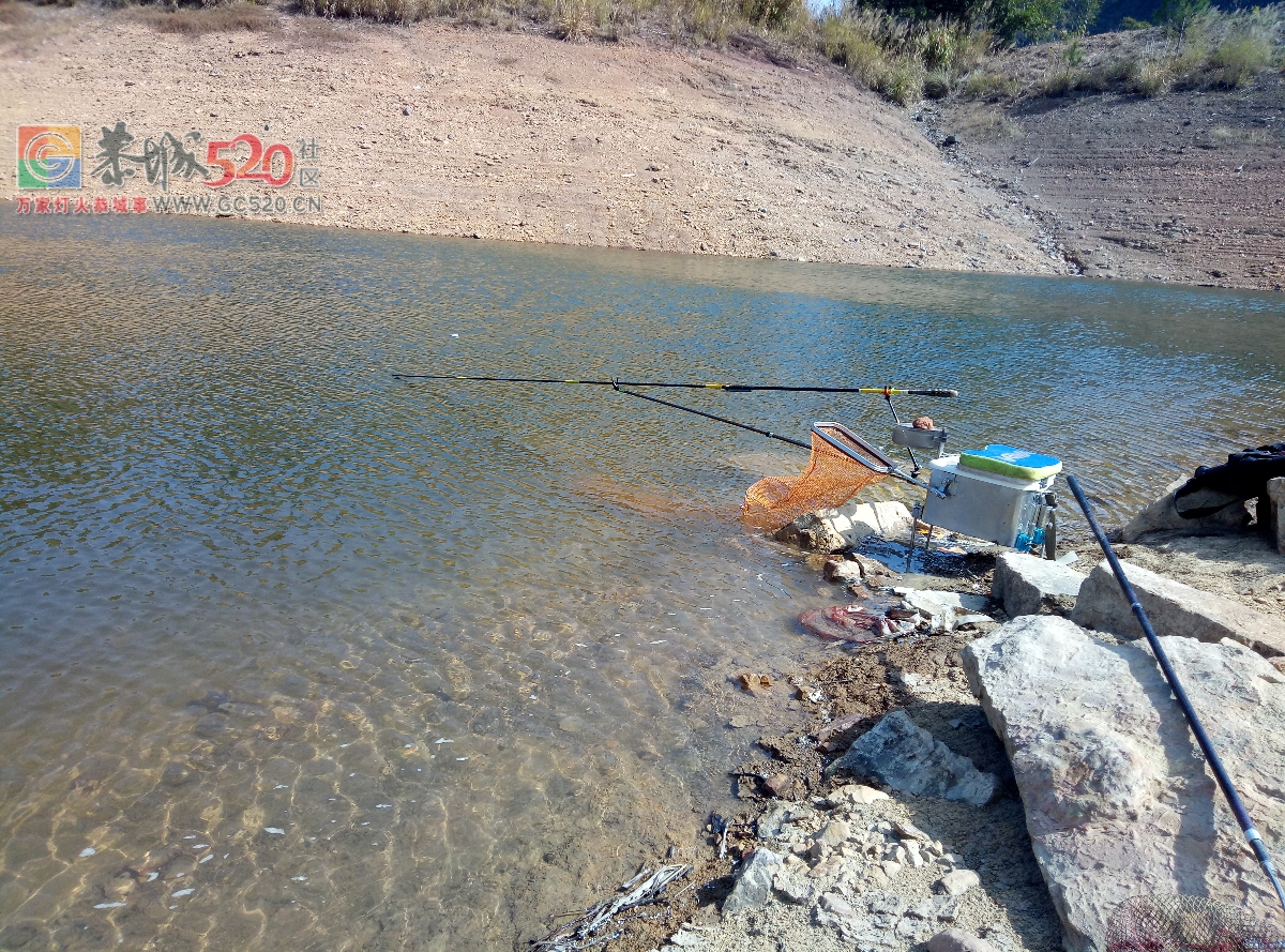 水库钓嘛勾4两一条mdg383 / 作者:MDG / 帖子ID:258910