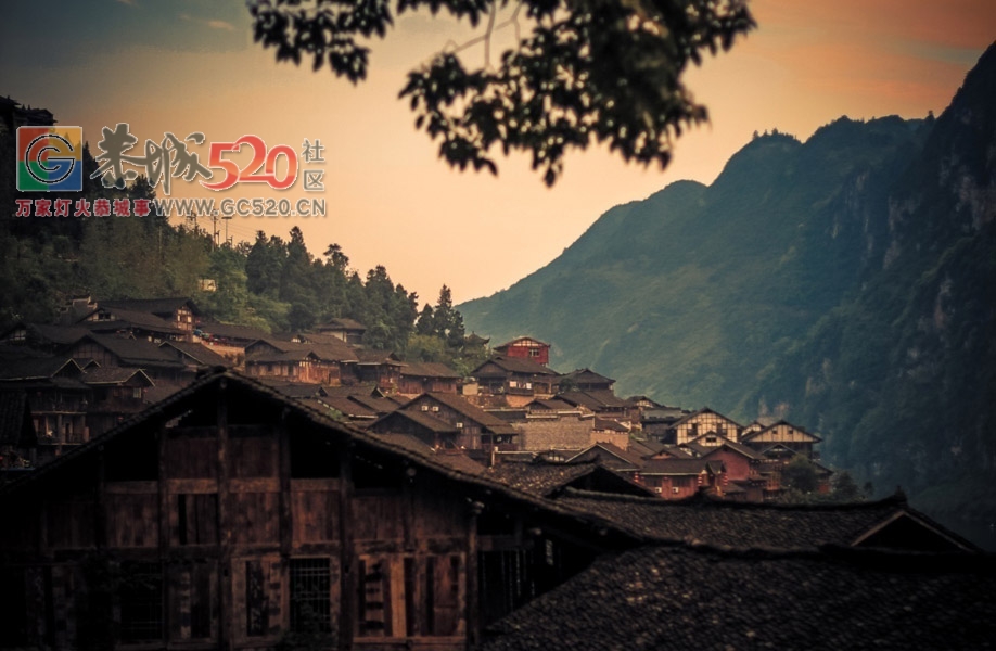 无问西东，去酉阳过一个“桃花源”的年295 / 作者:夏爱之梦 / 帖子ID:259018