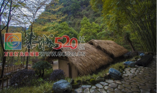 无问西东，去酉阳过一个“桃花源”的年695 / 作者:夏爱之梦 / 帖子ID:259018