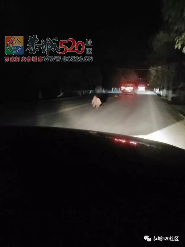 栗木五福初中旁一男子身无衣物躺在路中不幸被撞身亡642 / 作者:单身狗的生活 / 帖子ID:259038