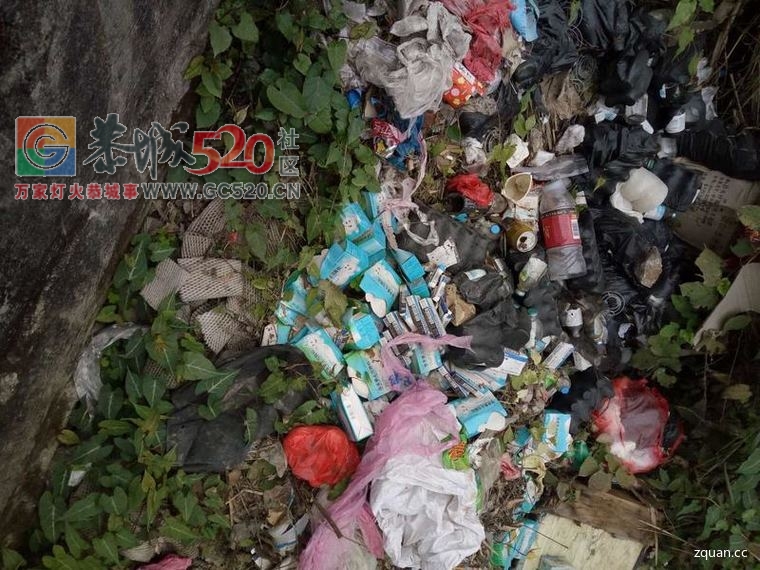 莲花至三江路段单竹厄取水处，发现疑似医用废弃的垃圾！956 / 作者:水墨茶江 / 帖子ID:259072