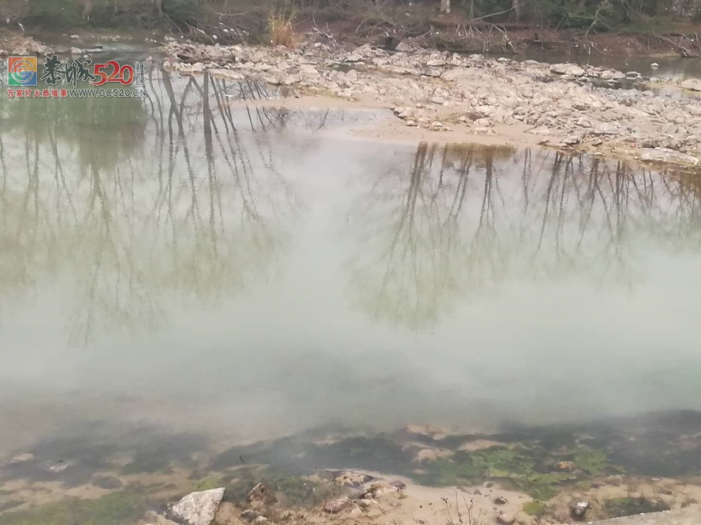栗木的大河又变混浊了，是不是又开始搞沙了513 / 作者:逢时 / 帖子ID:259127