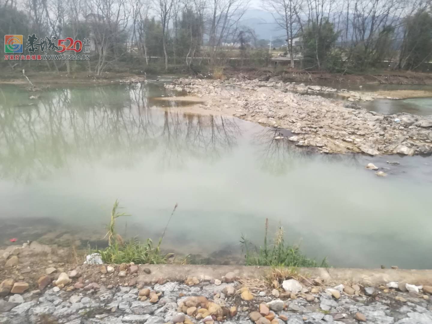 栗木的大河又变混浊了，是不是又开始搞沙了363 / 作者:逢时 / 帖子ID:259127