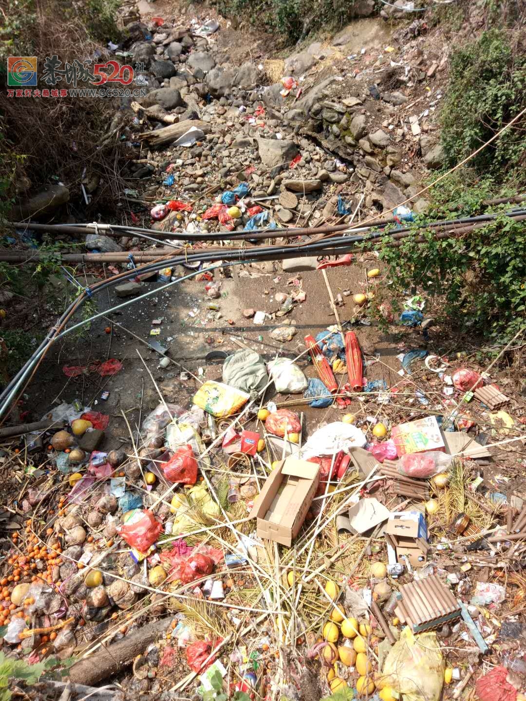 加会共和村河道垃圾堆658 / 作者:对岸烽火 / 帖子ID:259402