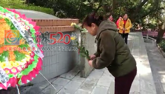 原中国人民解放军后辈桂林子弟来恭城烈士塔祭拜29 / 作者:分类小编 / 帖子ID:259447