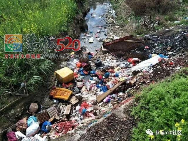 莲花坪岭村垃圾成堆，乡政府迅速处理，恢复整洁739 / 作者:分类小编 / 帖子ID:259512