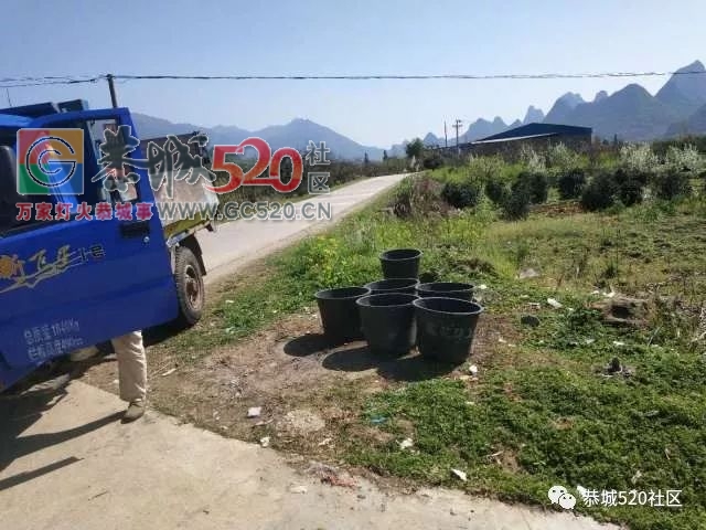 莲花坪岭村垃圾成堆，乡政府迅速处理，恢复整洁751 / 作者:分类小编 / 帖子ID:259512