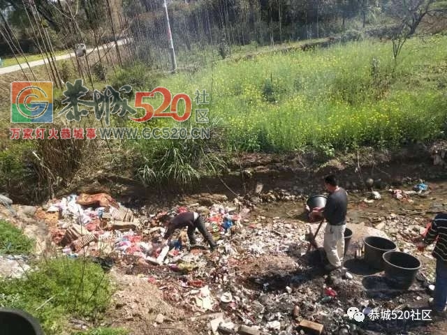 莲花坪岭村垃圾成堆，乡政府迅速处理，恢复整洁780 / 作者:分类小编 / 帖子ID:259512