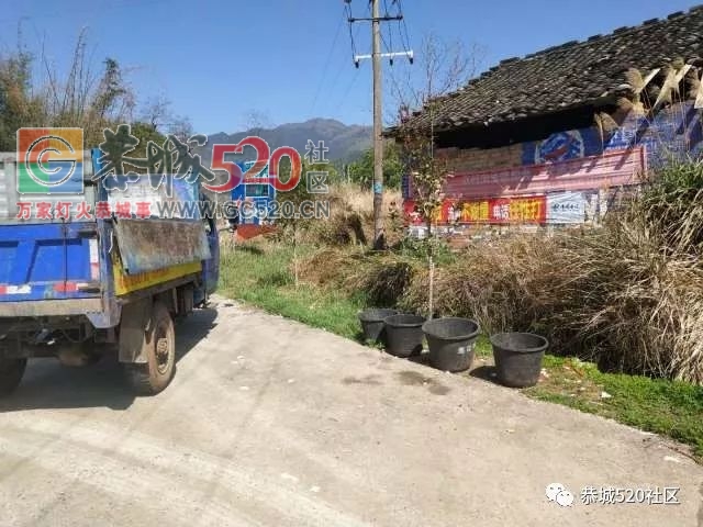 莲花坪岭村垃圾成堆，乡政府迅速处理，恢复整洁397 / 作者:分类小编 / 帖子ID:259512