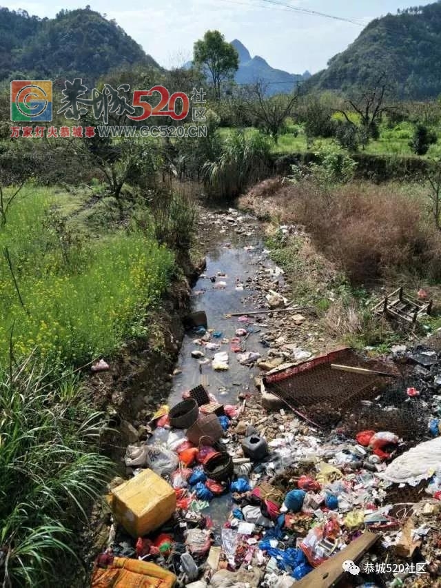 【民生跟进】莲花坪岭村垃圾成堆，镇政府迅速处理，恢复整洁338 / 作者:给点阳光就灿烂 / 帖子ID:259518