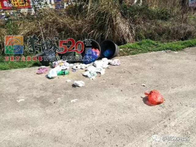 【民生跟进】莲花坪岭村垃圾成堆，镇政府迅速处理，恢复整洁386 / 作者:给点阳光就灿烂 / 帖子ID:259518