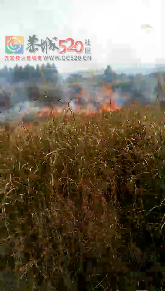 加会太平庙起大火了，村民正在救火702 / 作者:流浪者 / 帖子ID:259526