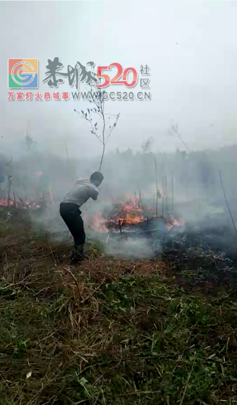 加会太平庙起大火了，村民正在救火803 / 作者:流浪者 / 帖子ID:259526