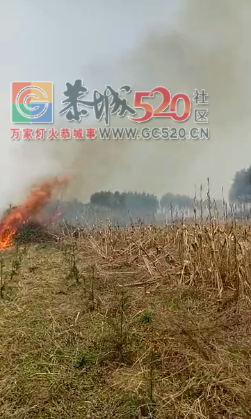 加会太平庙起大火了，村民正在救火148 / 作者:流浪者 / 帖子ID:259526