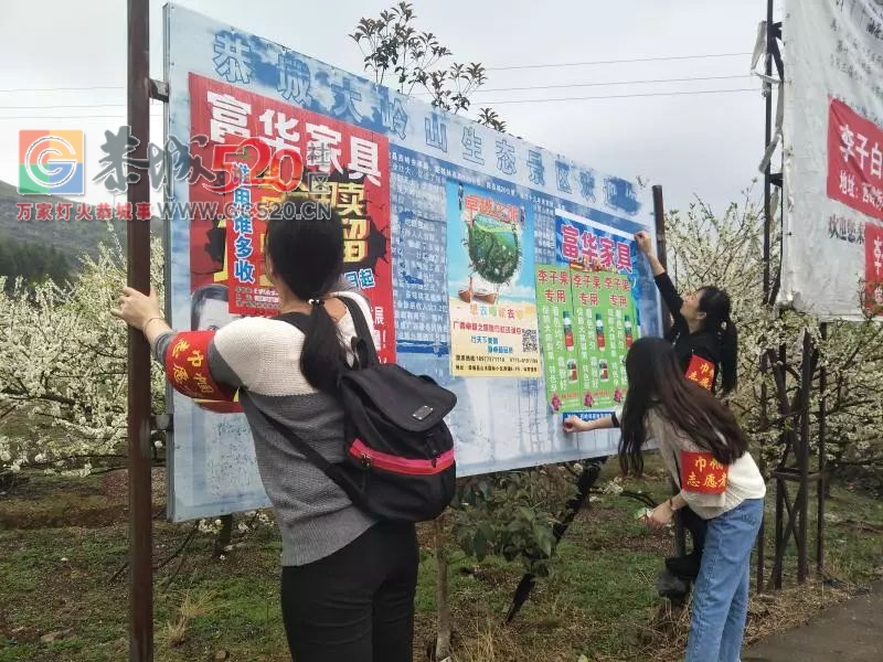 西岭镇：争做“乡村振兴”的最美“半边天”961 / 作者:社区小编 / 帖子ID:259540