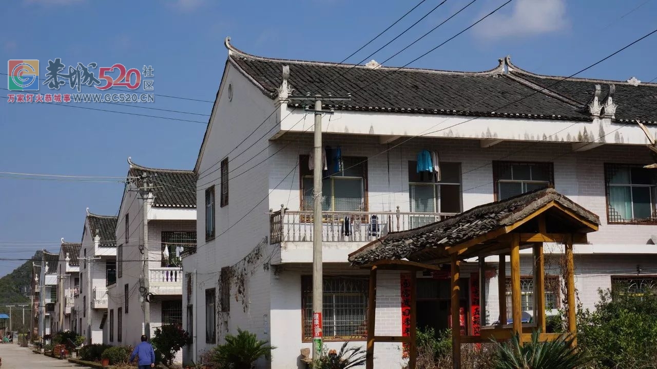西岭镇：争做“乡村振兴”的最美“半边天”216 / 作者:社区小编 / 帖子ID:259540