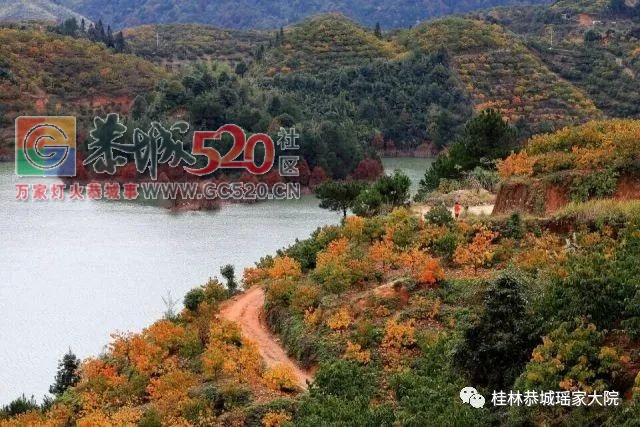 恭城新八景693 / 作者:等风十里 / 帖子ID:259543
