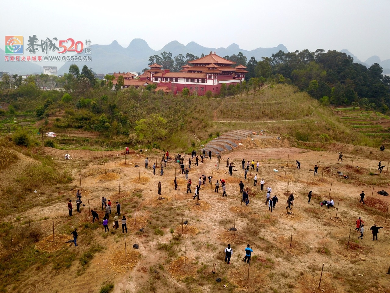 【植树节活动】加快生态建设步伐，推进城乡绿化行动355 / 作者:红通通 / 帖子ID:259548