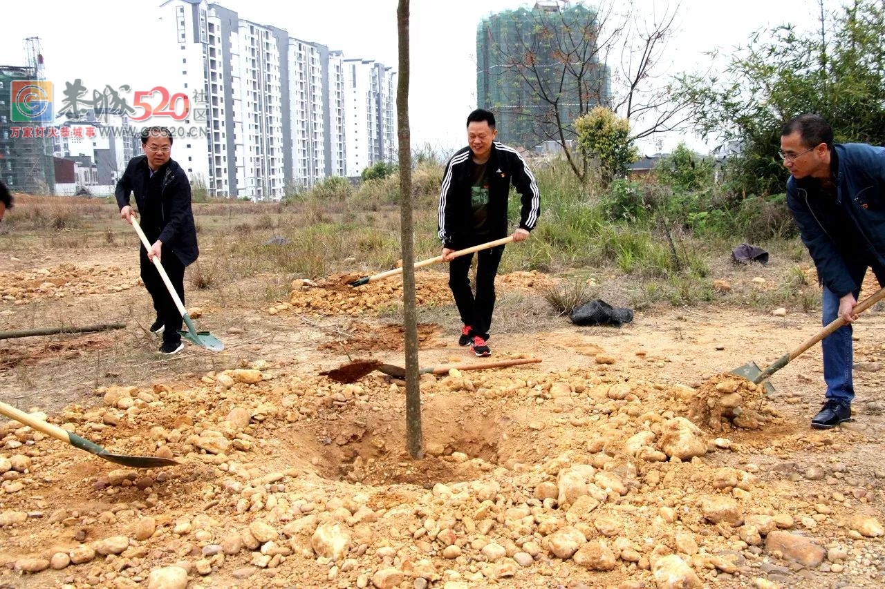 【植树节活动】加快生态建设步伐，推进城乡绿化行动708 / 作者:红通通 / 帖子ID:259548