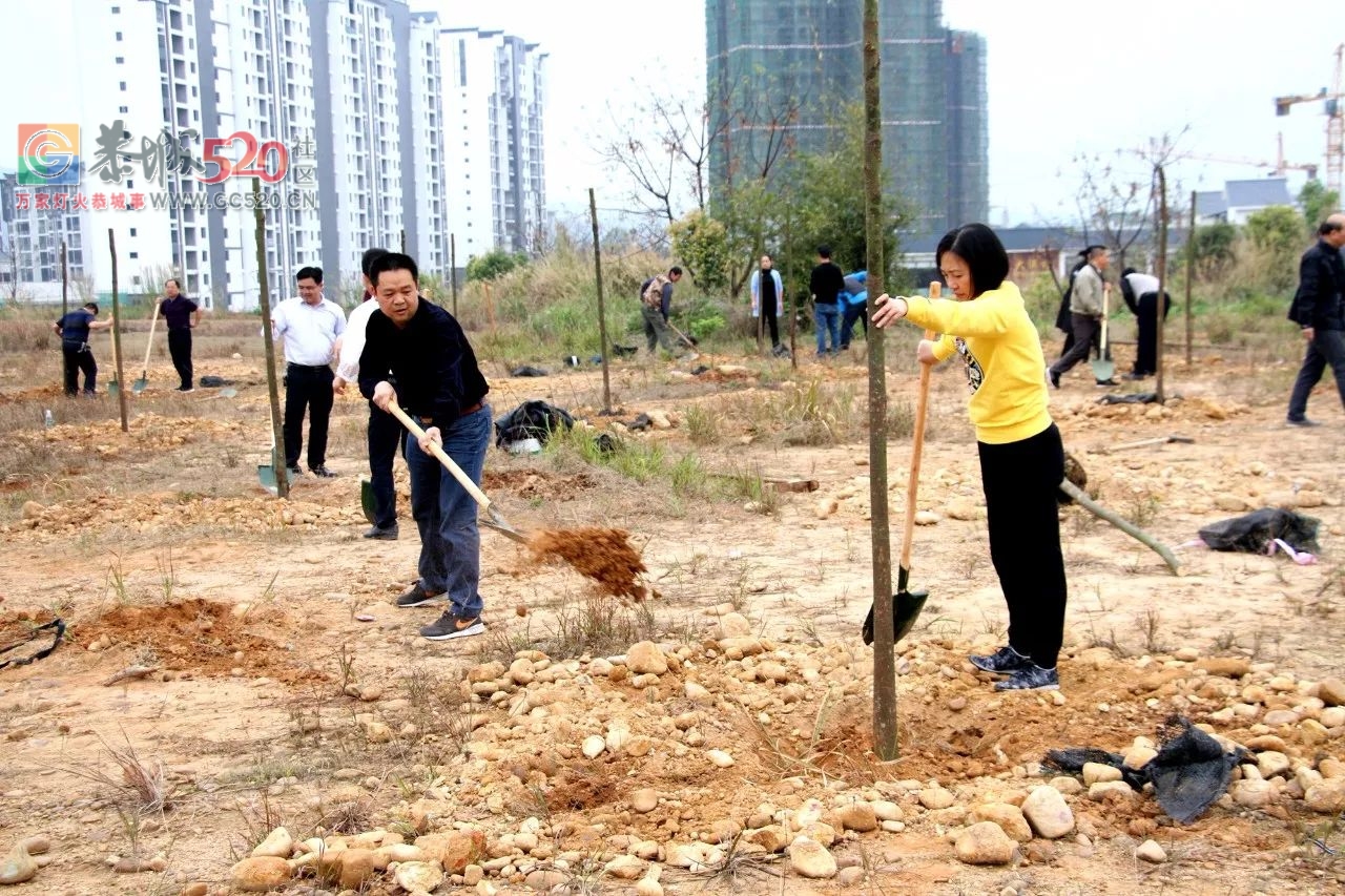 【植树节活动】加快生态建设步伐，推进城乡绿化行动928 / 作者:红通通 / 帖子ID:259548