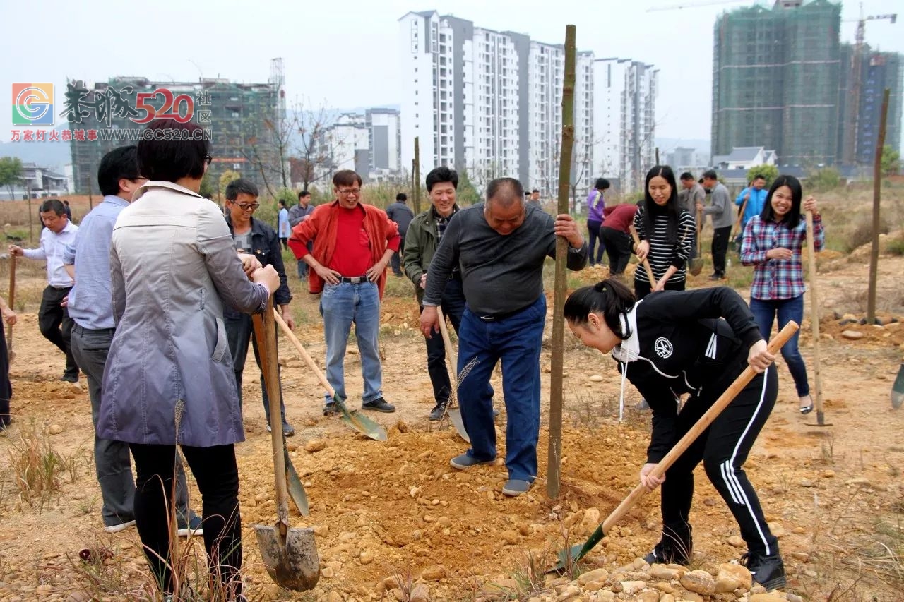 【植树节活动】加快生态建设步伐，推进城乡绿化行动30 / 作者:红通通 / 帖子ID:259548