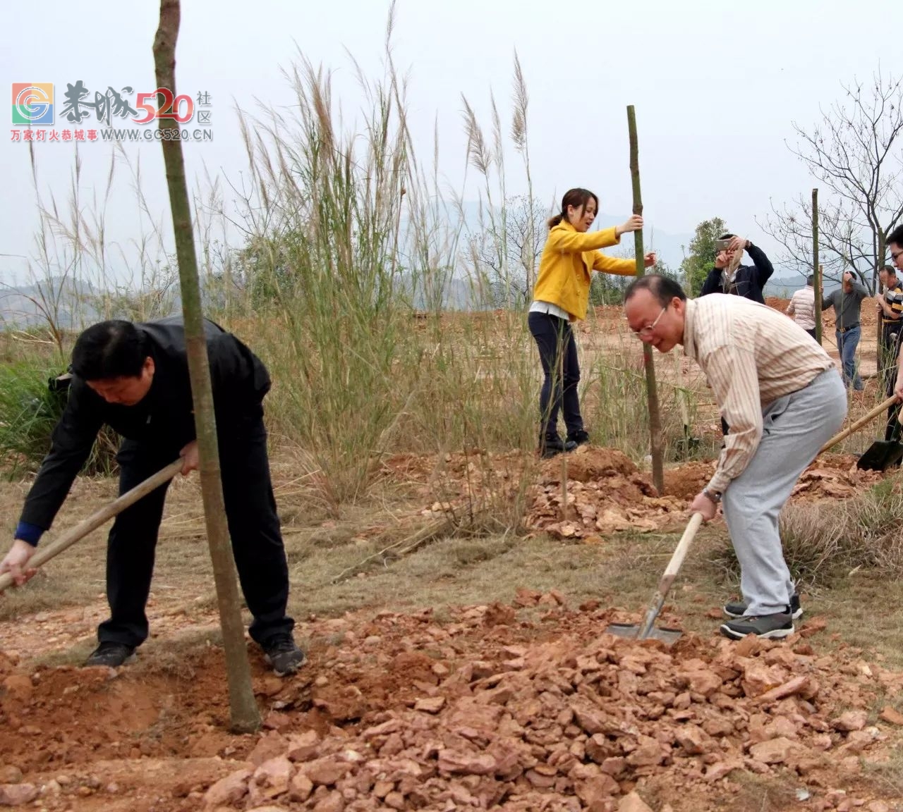 【植树节活动】加快生态建设步伐，推进城乡绿化行动271 / 作者:红通通 / 帖子ID:259548