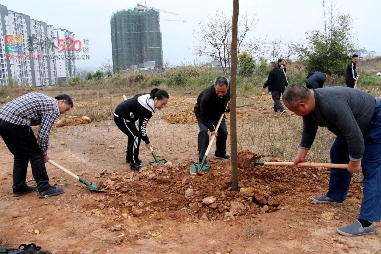 【植树节活动】加快生态建设步伐，推进城乡绿化行动844 / 作者:红通通 / 帖子ID:259548