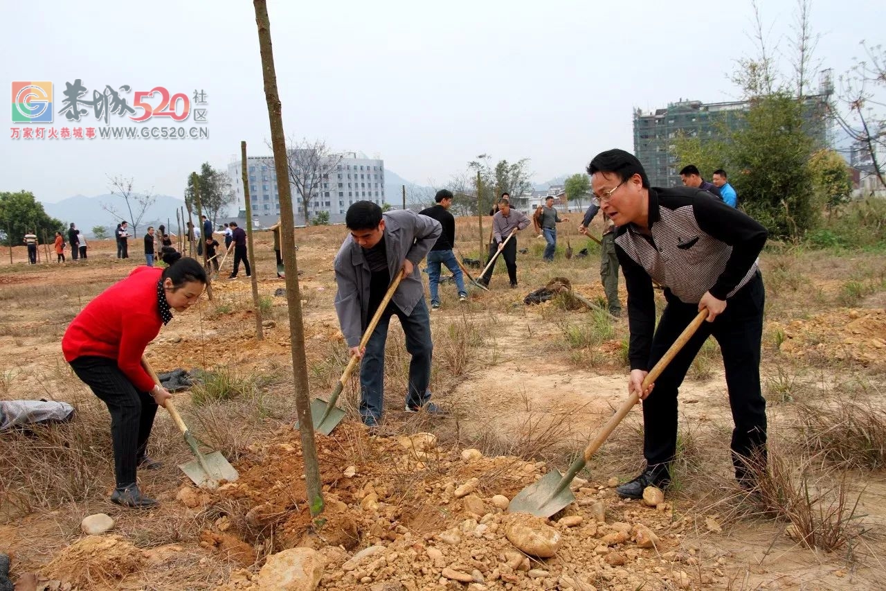 【植树节活动】加快生态建设步伐，推进城乡绿化行动84 / 作者:红通通 / 帖子ID:259548