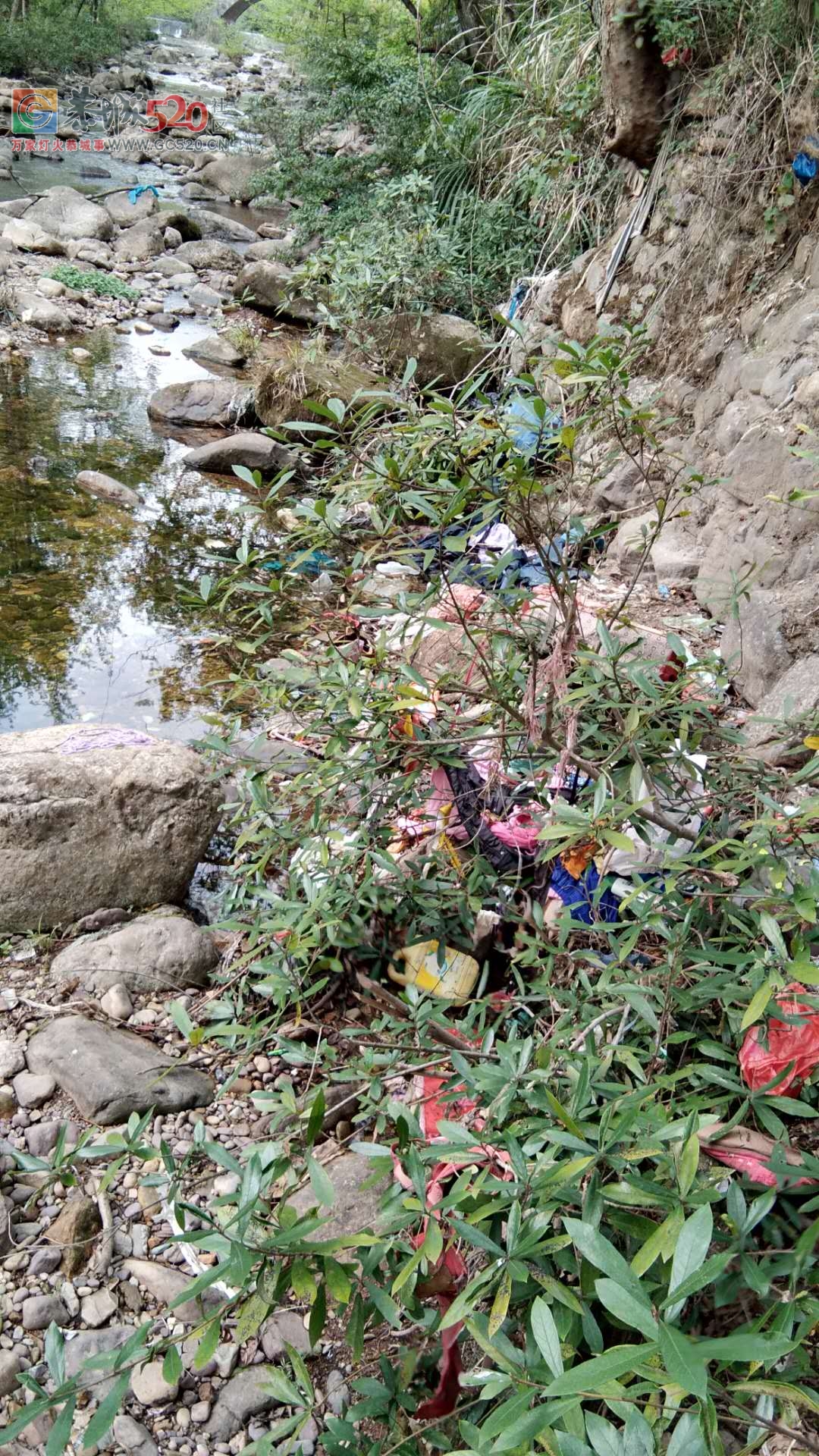 自然村的垃圾都往河边倒，至使河流污染严重186 / 作者:洗洗睡 / 帖子ID:259565