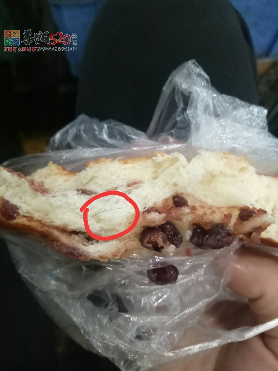 我操！昨天在好运来买了一个面包，居然吃出头发来了！！969 / 作者:糕富帅 / 帖子ID:259589