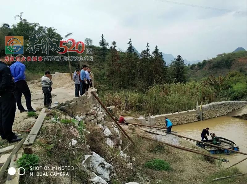 莲花镇重拳出击 大力整治河道采砂115 / 作者:小红花 / 帖子ID:259638