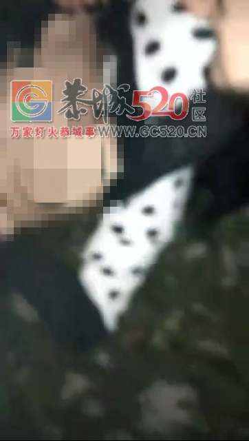 “社会女”学校打架，听声音是本地的，有谁认识？565 / 作者:砍柴撞跌老斑鸠 / 帖子ID:259754