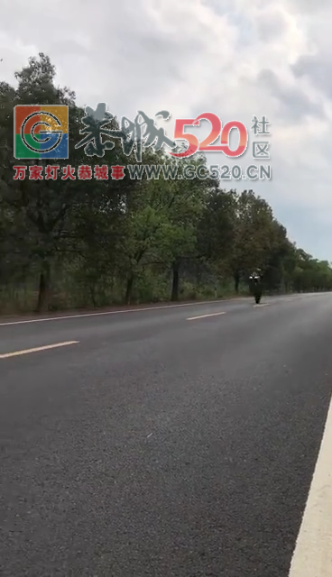 加会惊现飙车党！59 / 作者:桂花糕 / 帖子ID:259781