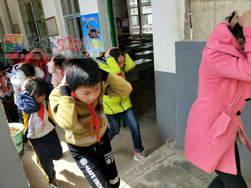 三江乡黄坪小学：开展安全防范演练 提高自我保护能力202 / 作者:九命猫 / 帖子ID:259978