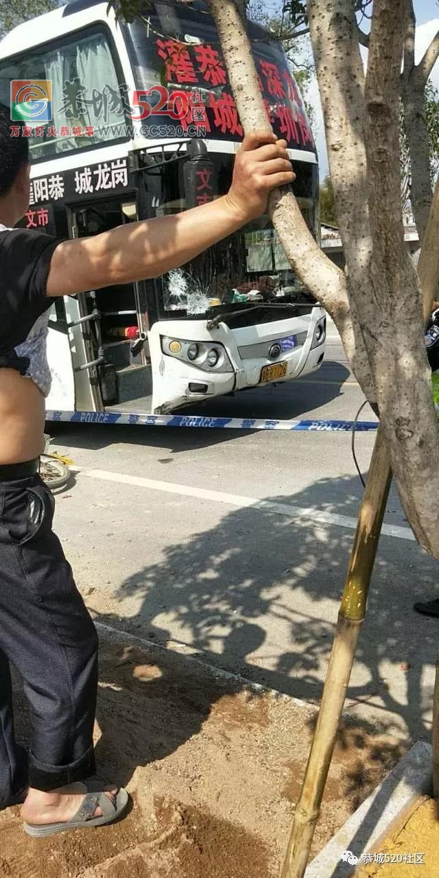 栗木马坪路段摩托车与大巴车相撞，摩托车司机当场死亡，家属一旁痛哭！617 / 作者:绎苒 / 帖子ID:260011