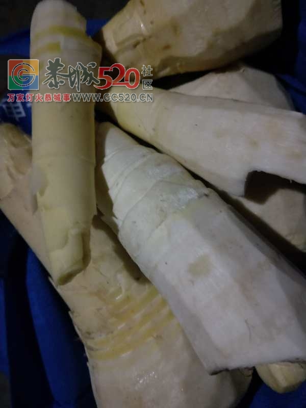 回老家扫墓的，收获不要太大了，613 / 作者:九命猫 / 帖子ID:260490