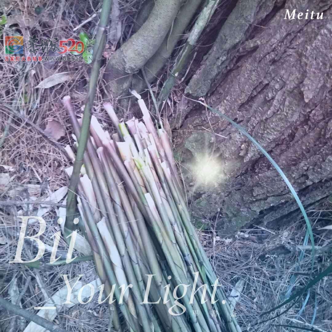 回老家扫墓的，收获不要太大了，523 / 作者:九命猫 / 帖子ID:260490