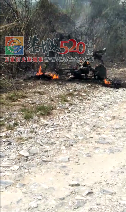 谁家扫墓连电动车都烧给老祖宗了！！913 / 作者:丽丽看花 / 帖子ID:260492