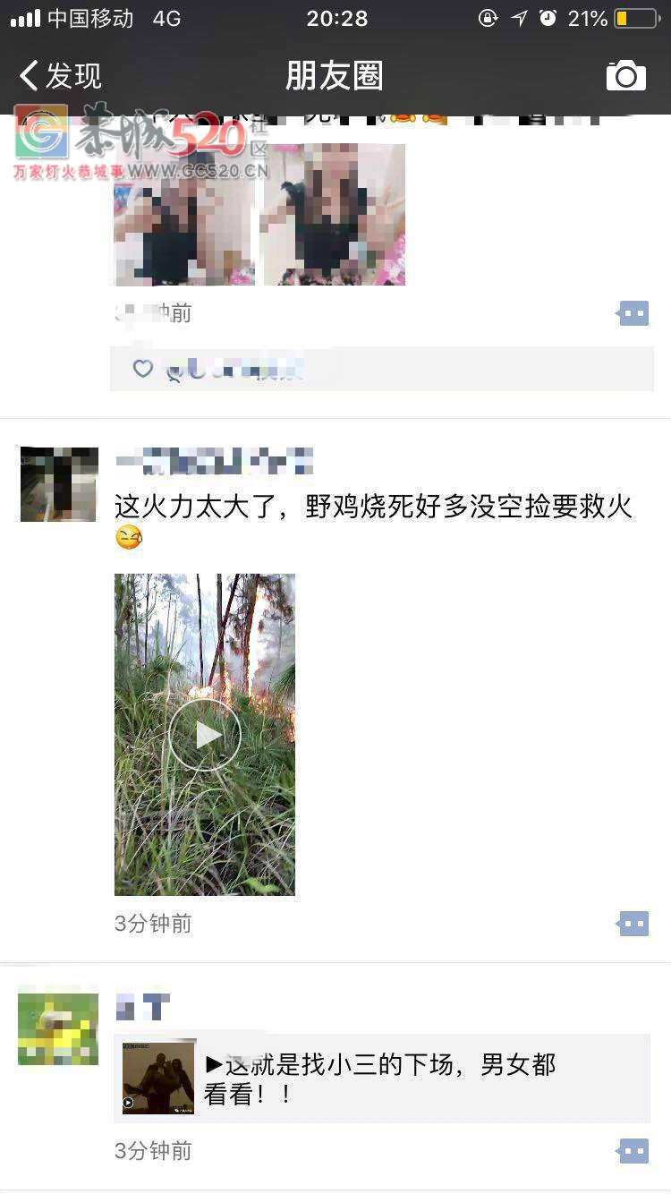 谁家扫墓连电动车都烧给老祖宗了！！73 / 作者:丽丽看花 / 帖子ID:260492