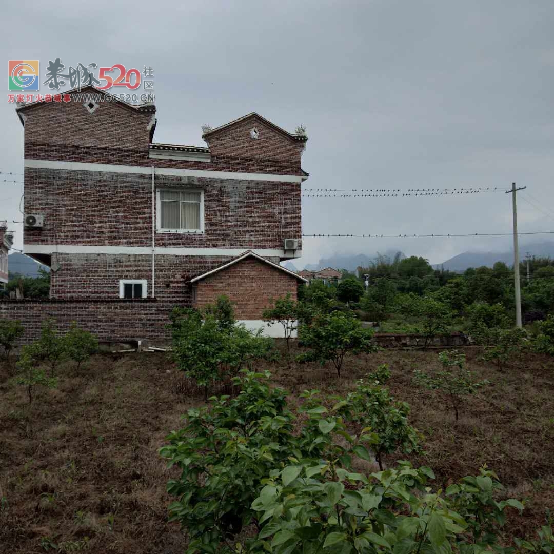 莲花矮寨成百上千的燕子聚会325 / 作者:登山涉水 / 帖子ID:260737