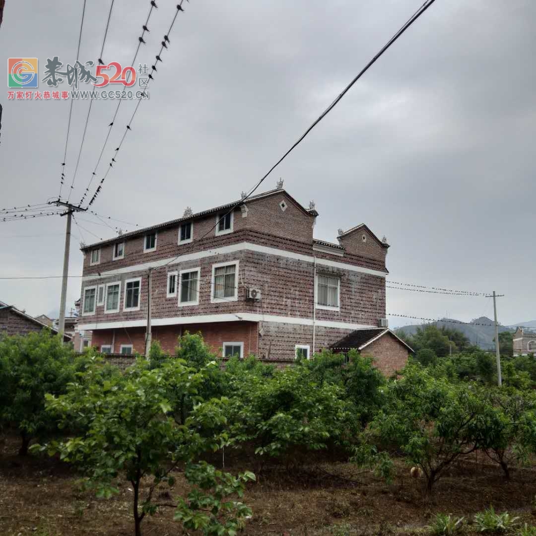 莲花矮寨成百上千的燕子聚会210 / 作者:登山涉水 / 帖子ID:260737