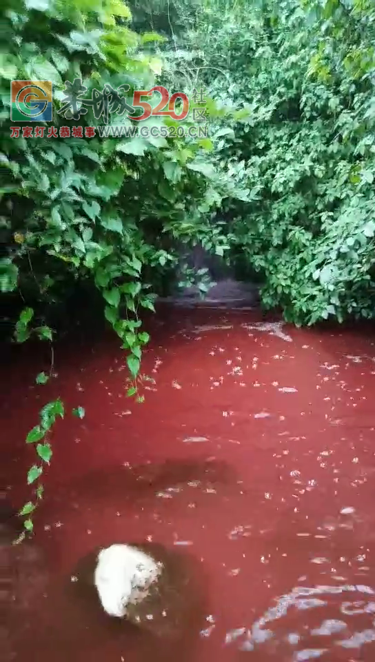 嘉会镇太平莲塘村挑水岩流出红色的水来了！697 / 作者:三江黄坪 / 帖子ID:260916