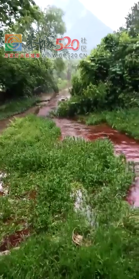 嘉会镇太平莲塘村挑水岩流出红色的水来了！452 / 作者:三江黄坪 / 帖子ID:260916