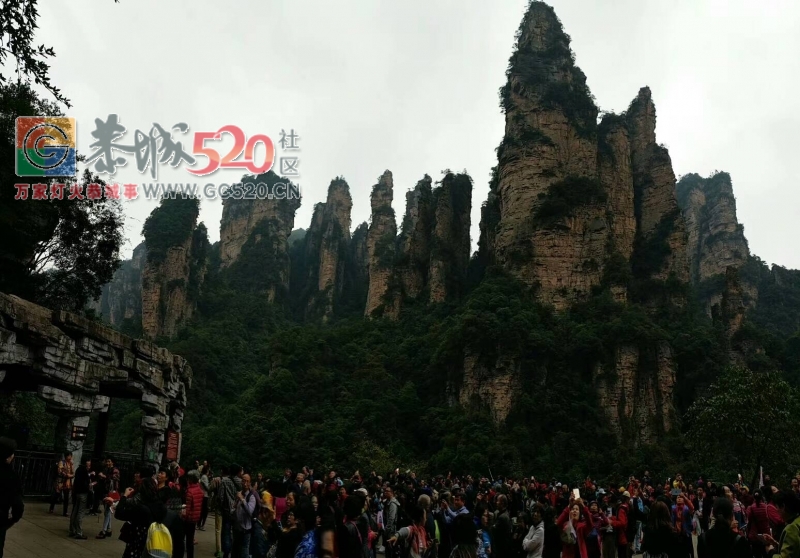 张家界森林公园~天门山~凤凰古城四日游路线929 / 作者:张家界旅游 / 帖子ID:260926