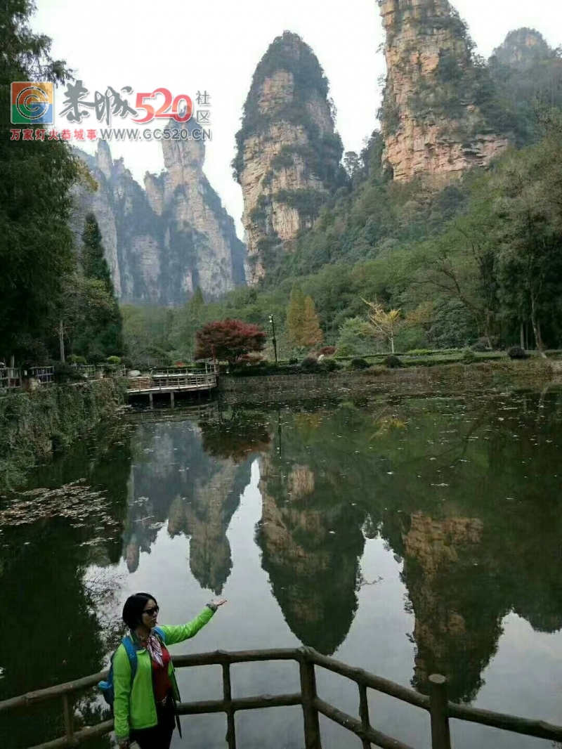 张家界森林公园~天门山~凤凰古城四日游路线746 / 作者:张家界旅游 / 帖子ID:260926