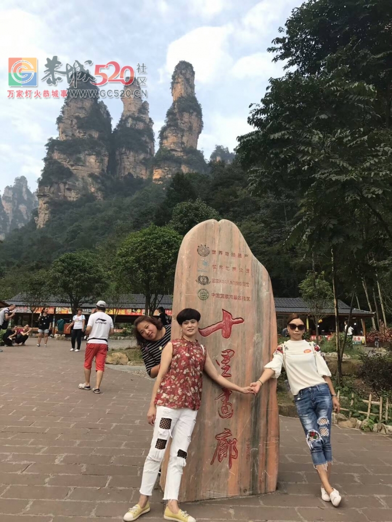 张家界森林公园~天门山~凤凰古城四日游路线436 / 作者:张家界旅游 / 帖子ID:260926